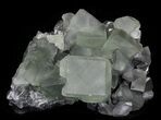 Stunning, Lustrous, Green Fluorite Cluster - China (Special Price #32420-1